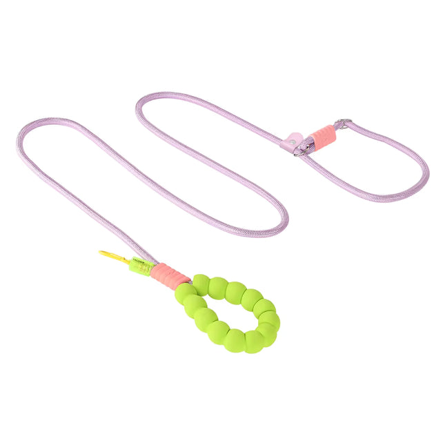 Cloud Bubble Dog Leash (Purple & Green)