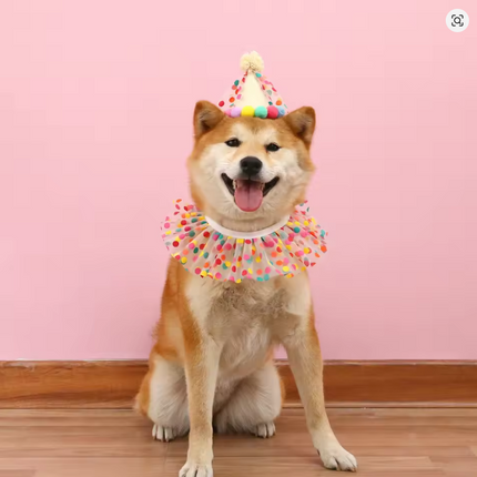 Birthday Scarf Hat Set Party Dress Up Accessories