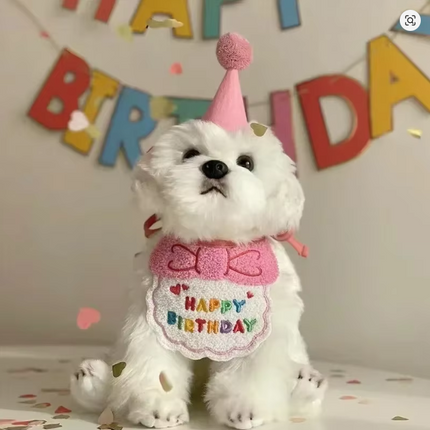 Birthday Scarf Hat Set for Small, Medium Dogs