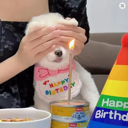 Birthday Scarf Hat Set for Small, Medium Dogs