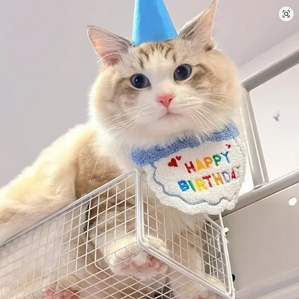 Birthday Scarf Hat Set for Small, Medium Dogs