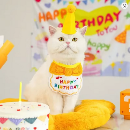Birthday Scarf Hat Set for Small, Medium Dogs
